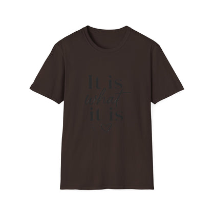 It Is What It Is T-Shirt — Casual Inspirational Quote Tee
